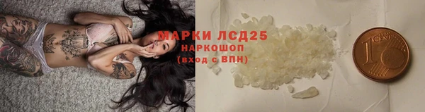 ГАЛЛЮЦИНОГЕННЫЕ ГРИБЫ Арсеньев
