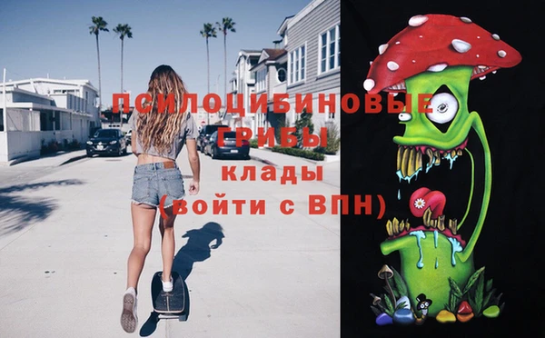ГАЛЛЮЦИНОГЕННЫЕ ГРИБЫ Арсеньев