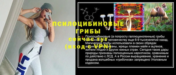 ГАЛЛЮЦИНОГЕННЫЕ ГРИБЫ Арсеньев