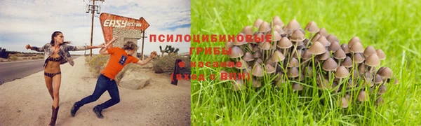 экстази Армянск