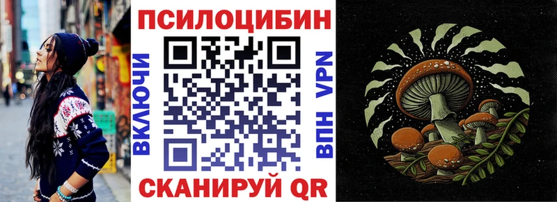 ОМГ ОМГ рабочий сайт  Пучеж  Галлюциногенные грибы Psilocybe  как найти наркотики 